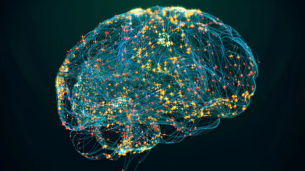 Neural Correlates of Emotion Regulation