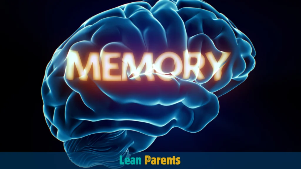 The Science Behind Memory Formation